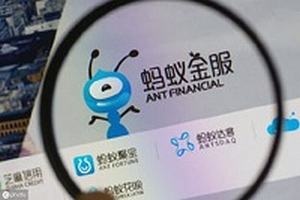 2024信用卡逾期怎么停息挂账及协商分期还款？